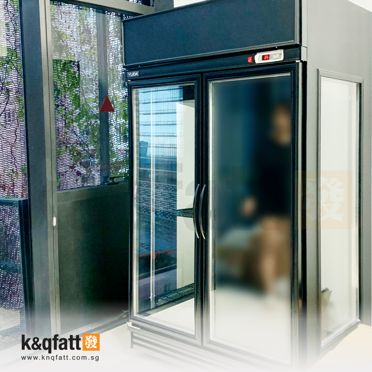 Floral Display Chiller Showcase, 2-doors - Image 3